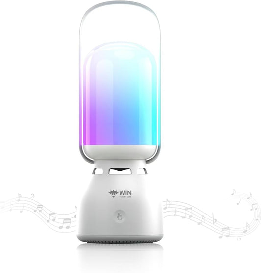 WIN FUNNY LIFE 3-Gear 11 Bluetooth Camping Lantern Speaker, LED Night Light, Modes RGB Colorful Lantern Speaker