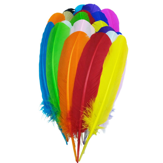 Feathers for Crafting 10-12 inches 24pcs Natural Black Big Turkey Feather Bulk for Craft DIY Crafts, Angel Wings, Dream Catcher and Wedding Party Decorations (Colorful)