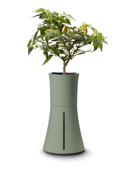 Botanium Hydroponic and Automatic Indoor Gardening Pot, Green