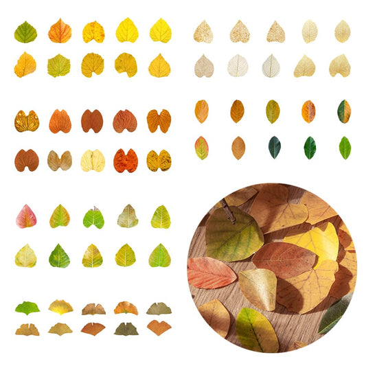 BOSOIRSOU 300 pcs Fall Leaves Washi Tape, 6 Rolls Autumn Maple Leaves Washi Tape Stickers Masking Tape Decorative Adhesive Leaf for Scrapbooking Journaling Junk Journal DIY Art Crafts Supplies