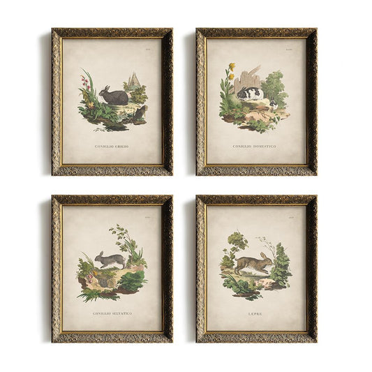 Vintage Rabbit Wall Art - Spring Easter Bunny Poster Print Set - Modern Farmhouse Easter Eggs Decoration for Bedroom Living Room - Rustic French Country Decor - Ornament Craft Gift for Women