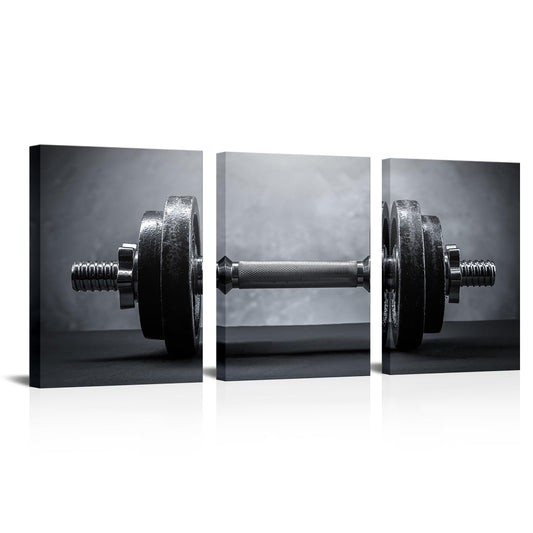 3 Piece Black White Wall Art Gym Picture Modular Dumbbells Picture Sports Artwork Sports Room Living Room Game Room Decor Framed Bedroom Decor