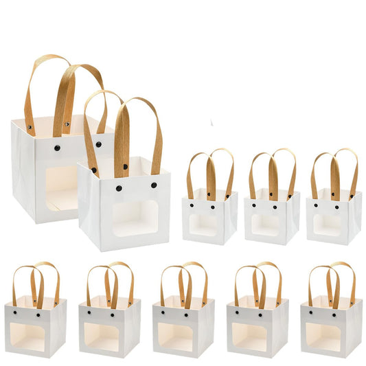 Echoed Elegance Kraft Paper Bags with Nylon Handles and Clear Window, 10 Pieces, 2 Styles, Square Gift and Shopping Bags for Retail, Party, Wedding, Craft Packaging (White)
