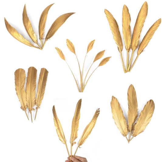 WENCELYL Gold Feather 6styles 30pcs Natural Goose Swan Feathers for Wedding Party Decoration DIY Crafts Halloween Performances Accessories