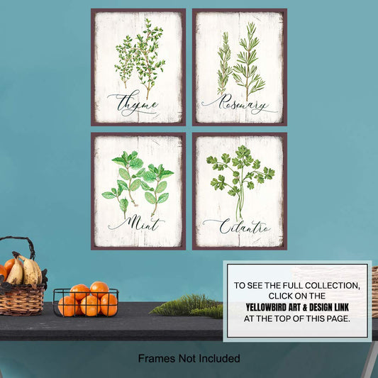 Botanical Herbs and Spices Kitchen Decor - Dining Room Decor - Larousse Gastronomique Wall Art for Cafe, Restaurant - Gift for Cooks, Chefs - Rustic Vintage Sign Photo Decoration - 8x10 UNFRAMED
