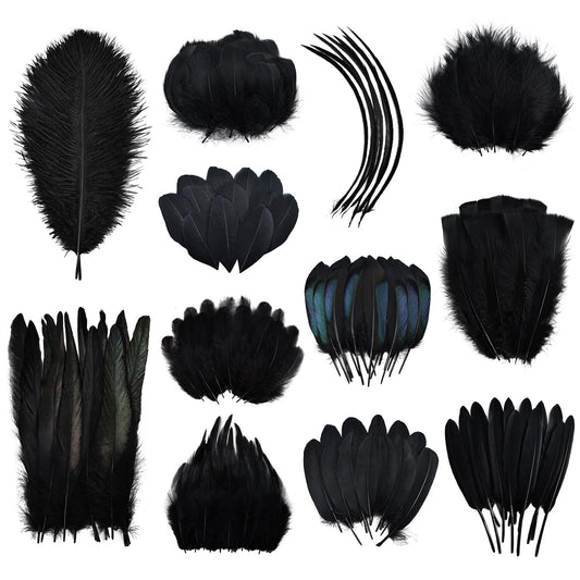 Daieeparty 360pcs Small Pheasant Feathers 12 Style Mixed Feathers Natural Feathers for Crafting Wedding Dream Catcher Hats Decoration