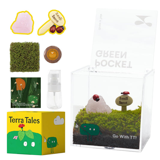 DIY Moss Terrarium Kit, 4 * 4 * 4 inch Acrylic Cube Mini Garden with Live Star Moss, Soil, Endless Love-Craft Kit for Adults and Teens, Relaxing Desk Decor & Unique Gift for Home or Office