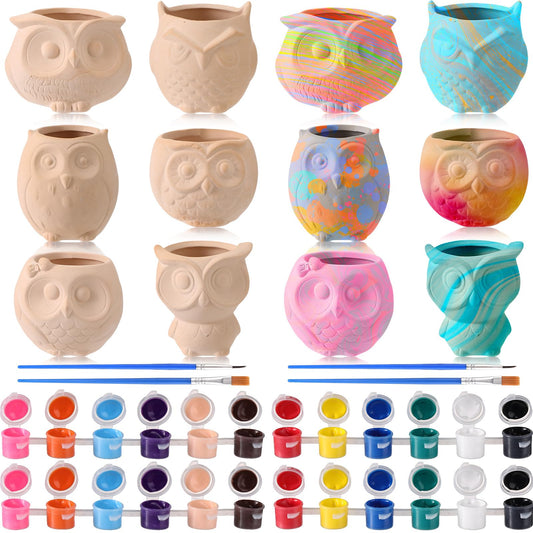 Dandat 12 Pcs Bisque DIY Ceramic Owl Succulent Pots Paint Your Own Ceramic Succulent Planters with 2 Set Paints Paintable Owl Ceramic Flowerpots with Drainage Hole for School Classroom Kids Craft