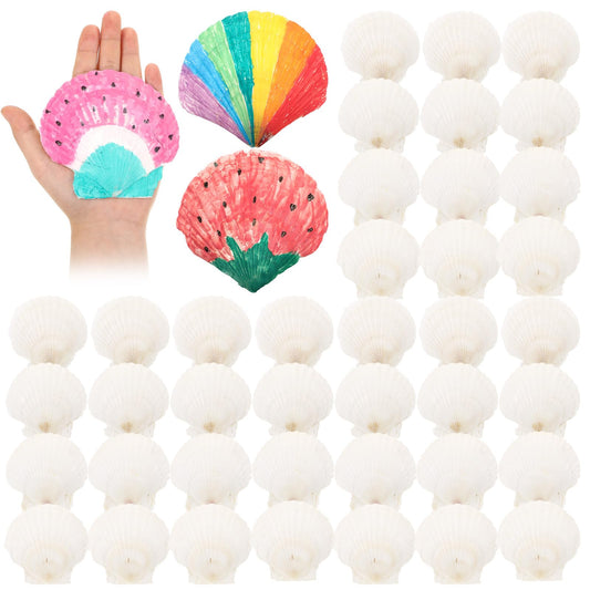 GlikCeil 50 Pcs Sea Shell for Crafting Natural Large Scallop White Oyster Shells Bulk for Decorating DIY Home Decor Beach Wedding Ocean Themed Party(3.5''-3.9'')