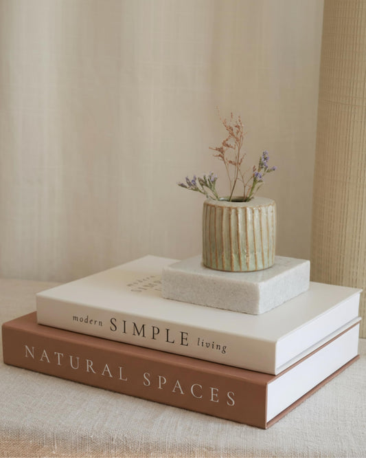 Beautiful Decorative Books - Set of 2 Boxes Enhance Your Coffee Table, Bookshelf or Mantel Shelf Decor - Aesthetic Fake/Faux Books for Modern Home Decoration, Photo Storage and as a Keepsake Box