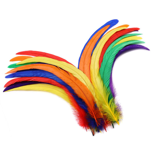 Holmgren Colorful Rooster Tail Feathers - 60pcs 12-14inch Natural Long Rooster Tail Feathers Bulk for DIY Crafts Hats Costume, Holiday Themed Party Decoration (Colorful)