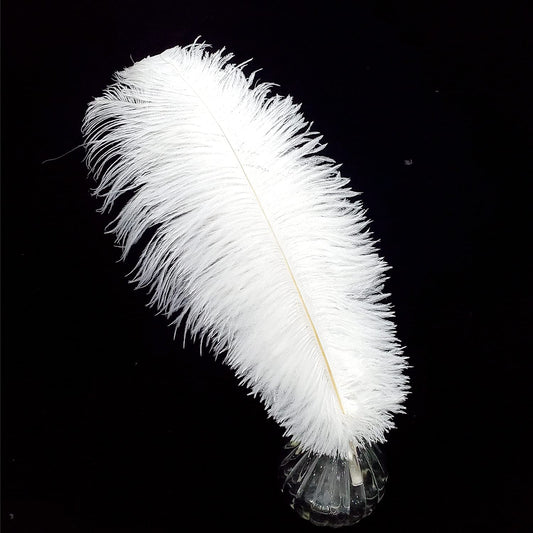 Happy Feather 16-18 inch White Ostrich Feathers Craft for Wedding Party centerpieces Home Decoration DIY Craft Pack of 10