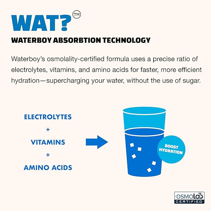 Waterboy Weekend Recovery | 3,200mg Electrolyte Powder Packets | Ginger + L-Theanine + Vitamins | No Sugar, All Natural, Gluten Free | 24 Drink Stick Mixes (Blue Raspberry)