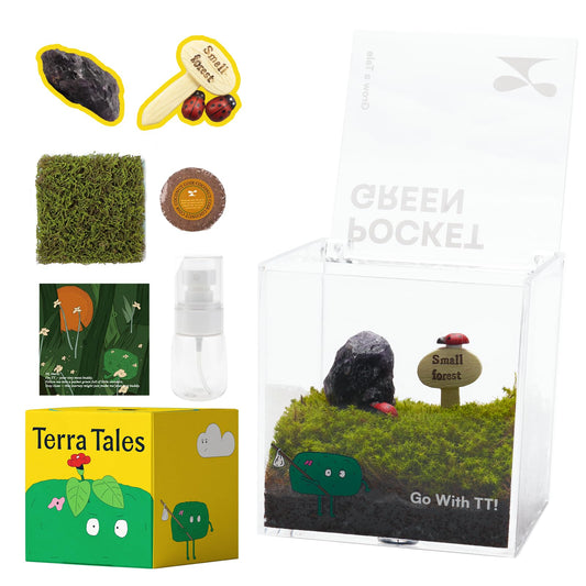 DIY Moss Terrarium Kit, 4 * 4 * 4 inch Acrylic Cube Mini Garden with Live Star Moss, Soil, Boundless Fortune-Craft Kit for Adults and Teens, Relaxing Desk Decor & Unique Gift for Home or Office