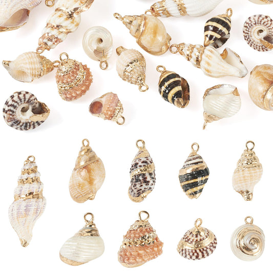 Cheriswelry 18Pcs Shell Pendants Natural Cowrie Seashells Charms DIY Summer Beach Supplies 12.5-33mm for Necklace Bracelet Earring DIY Crafts Jewelry Making Accessories Bohemia Decoration