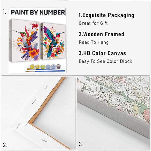 Paint by Numbers Kit for Adults - 2 Pack Hummingbird Paint-by-Number Kits - Acrylic Easy Paint by Numbers Framed - Canvas Arts and Crafts 8x12 Inch
