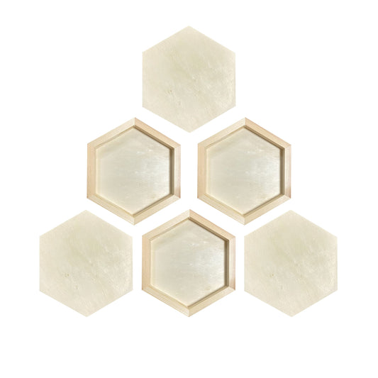 Hexagon Wood Canvas for Crafts, Framed Wooden Panel Boards for Painting (8x9 in,6 Pack)