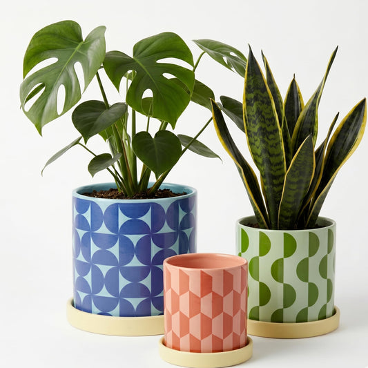 Original Earthlings Ceramic Plant Pots for Indoor Plants, Set of 3 Geometric Planters with Drainage Hole & Saucer, Colorful Decorative Flower Pots for Succulents, Home Decor, Modern Boho Style