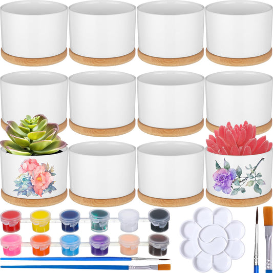 SiliFine 12 Sets DIY Ceramic Succulent Pots Painted Ceramic Flower Pots with Drainage Holes, Paints, Brushes, Palettes, Trays for DIY Event Adults Craft Birthday Gifts
