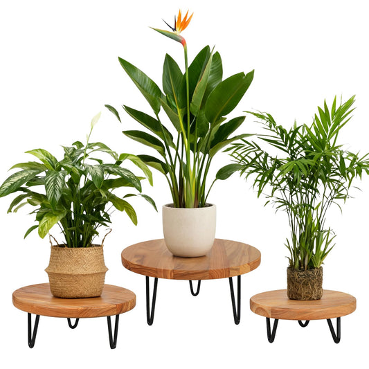 jubilander Wood Plant Stand, Wooden Round Plant Stand for Indoor Plants, Modern Plant Holder for Succulent Plant Nursery Pot Flower Pot (S+M+L)