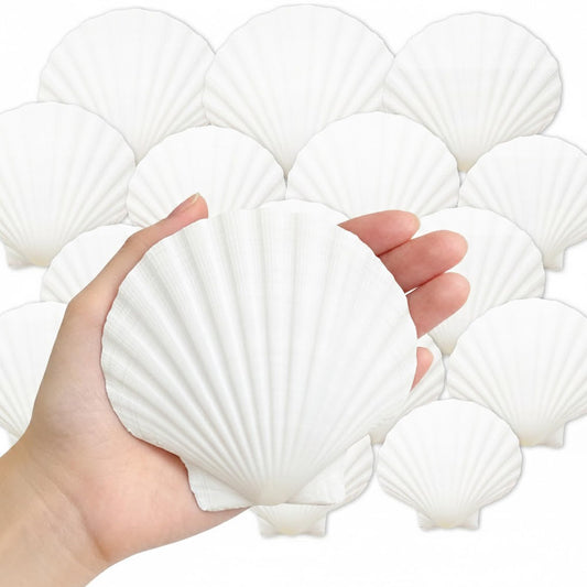 Denking 30 PCS Scallop Shells Mixed Sizes 3–5 Inch Natural White Seashells 3"-3.5" 3.5"-4" 4"-5" for DIY Painting, Craft, Baking, Beach Wedding & Home Decor(30PCS 3 Sizes Mixed)