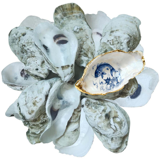 Dual Dou Natural Concave Oyster Shells for Crafts 3"-4" Large Oyster Shells Bulk for Home Vase Shell Painting, Beach Wedding & Christmas Decor, Vase Filler, DIY Home Decor, Craft Shells of 20pcs