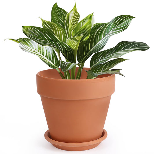 INGOFIN Terracotta Pot with Saucer - 10 Inch Ceramic Clay Pot for Plants with Drainage Hole, Large Terra Cotta Flower Planter with Tray for Indoor Outdoor Plants
