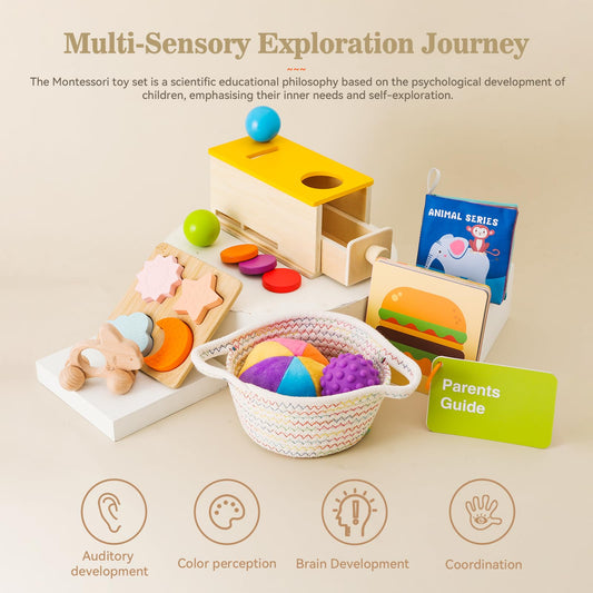Montessori Toys for Babies 6-12 Months 6 in 1 Learning Educational Toys Set Wooden Toys Play Kit Includes Object Permanence Box, Touch & Match Board, Sensory Ball & Treasure Basket, Soft Baby Book