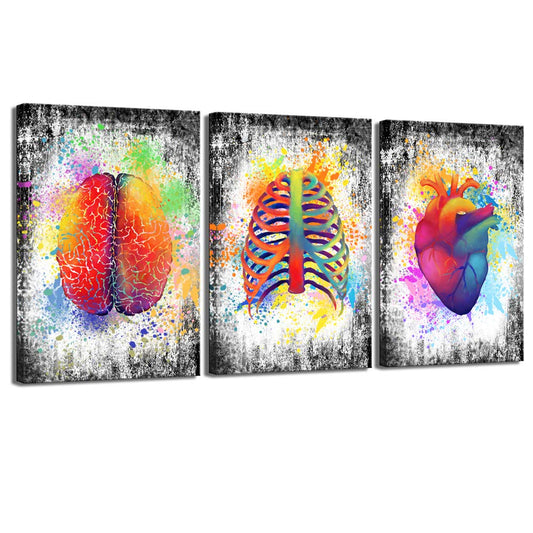 sechars Canvas Wall Art Human Brain Rib Cage Heart Painting Art for Medical Office Wall Decor Education Science Artwork Framed Gifts for Students Doctors (16x24inchesx3pcs)