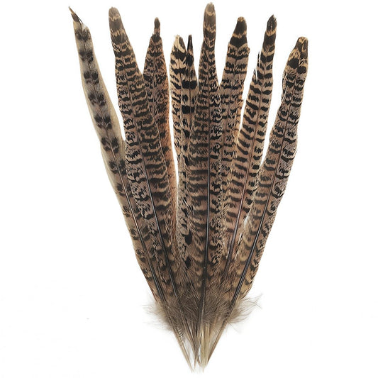 Female Pheasant Feathers Bulk 10pcs,Natural Long 8-10 inch (20-25cm) Feathers,for Crafts DIY Party Festival Centerpieces and Hat Clothing Decoration (Female Pheasant)