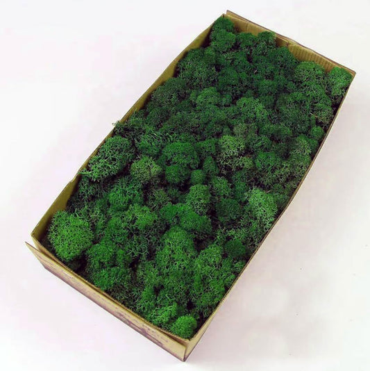 Prefleur Preserved Reindeer Craft Moss Natural DIY Kit Gardenning Art Wall Olive Green Florist Easter Table Decor Wedding(0.85lb)(Green-12)