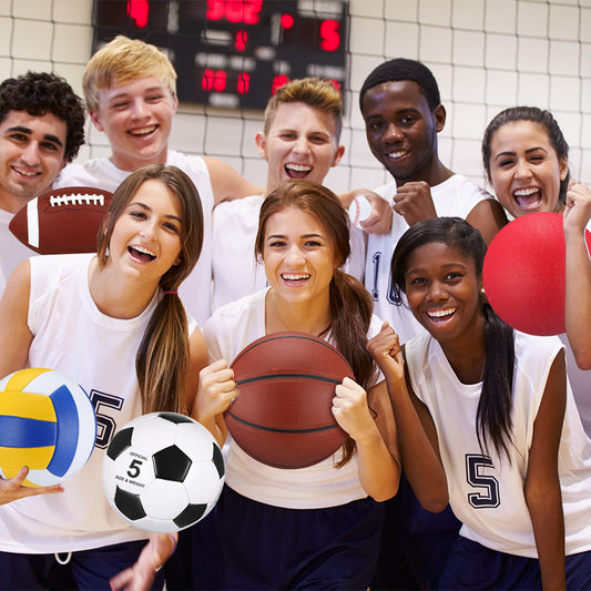 Leyndo 18 Pcs Sport Balls Bulk Set Basketball Football Volleyball Soccer Playground Baseball with Sport Equipment Bag Pump for Adults Gifts Outdoor Indoor(Multicolor)