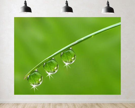 TryKid 10x6.5ft Green Dewdrop Grass Backdrop Sparkling Water Drop Blade Photography Background Fresh Spring Nature