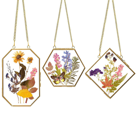 Apipi Pressed Flower Frame Gifts for Mom, Hanging Glass Frames for Crafts Photo Picture Display, Sturdy Chain Floating Wall Art for Home Decor, 3 Pcs