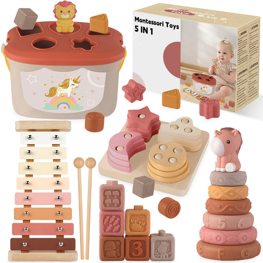 Montessori Toys for 6-12 Months, Baby Toys 6-12-18 Months with Montessori Baby Blocks Toy, Shape Sorting Baby Development Toys for 6+ Month Girls Boys Birthday Chiristmas Gifts