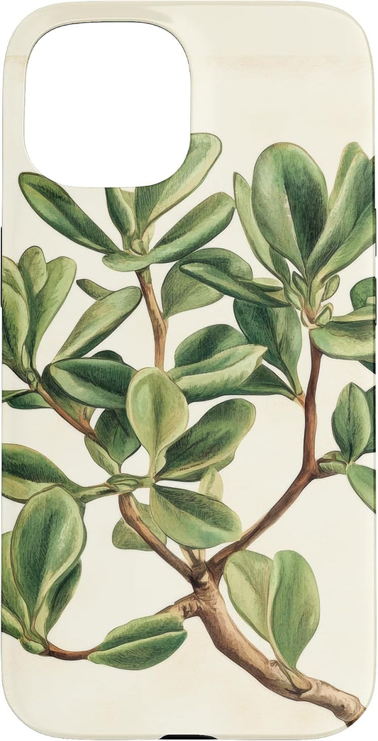 Antique Plant Botanical Art Garden DonaOnca 15 Succulent Jade Plant Vintage Scientific Illustration Plant Case