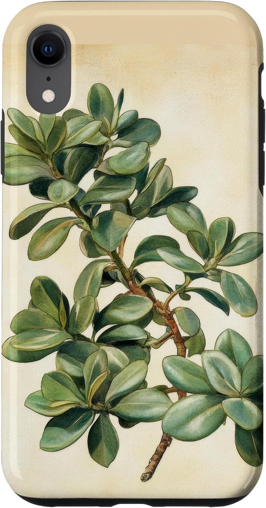Antique Plant Botanical Art Garden DonaOnca Succulent Jade Plant Vintage Scientific Illustration Plant Case for iPhone