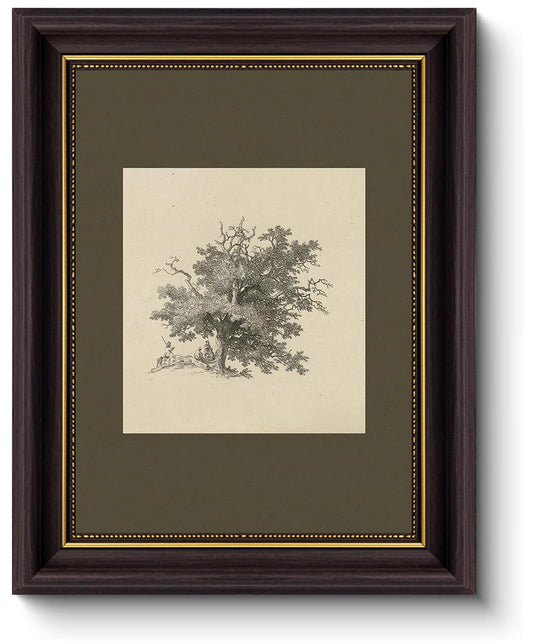 Myzoran Dark brown Frame Vintage Tree Wall Art Prints, Farmhouse Tree Sketch Landscape Pictures Painting,Rustic Neutral Vintage Siege Green Artwork,for Bathroom Bedroom Gallery Home Decor(12" x 16")