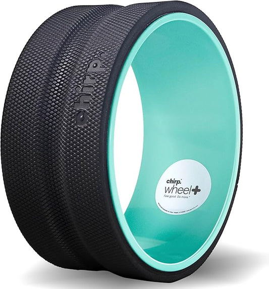 Chirp Wheel Foam Roller ??Targeted Back & Neck Relief, Lumbar Spine Stretcher, Spinal Decompression Back Stretcher, Massage Roller with Density Foam for Physical Therapy, Supports 500lbs, 10-Inch Mint