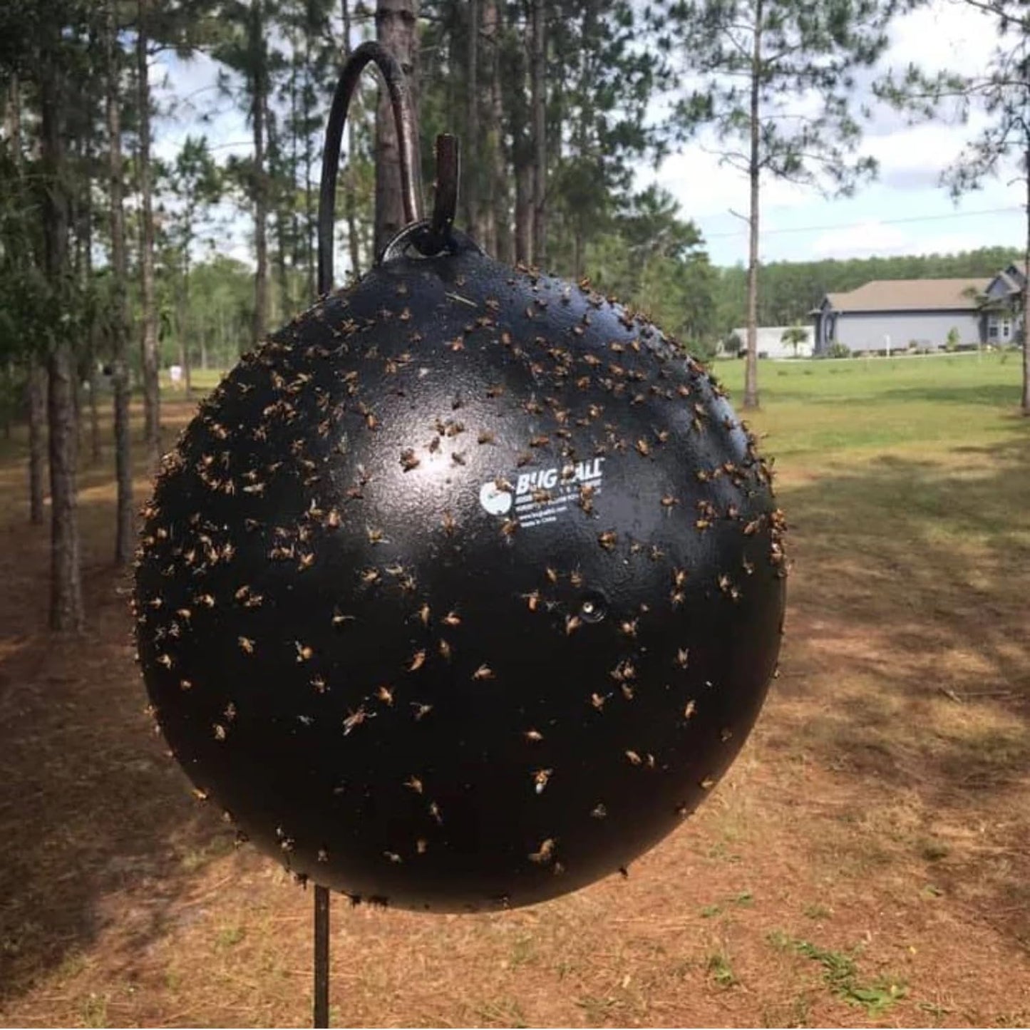 Bug Ball Starter Complete Kit - Biting Fly and Insect Trap, Pack of 3