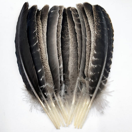 Turkey Wing Feathers,Natural Big Long Feather,11-13 inches (28-33cm),Large Size Bilateral Feathers,Left and Right Wings for Crafts,Bulk 12pcs (Natural Turkey Wing-1)