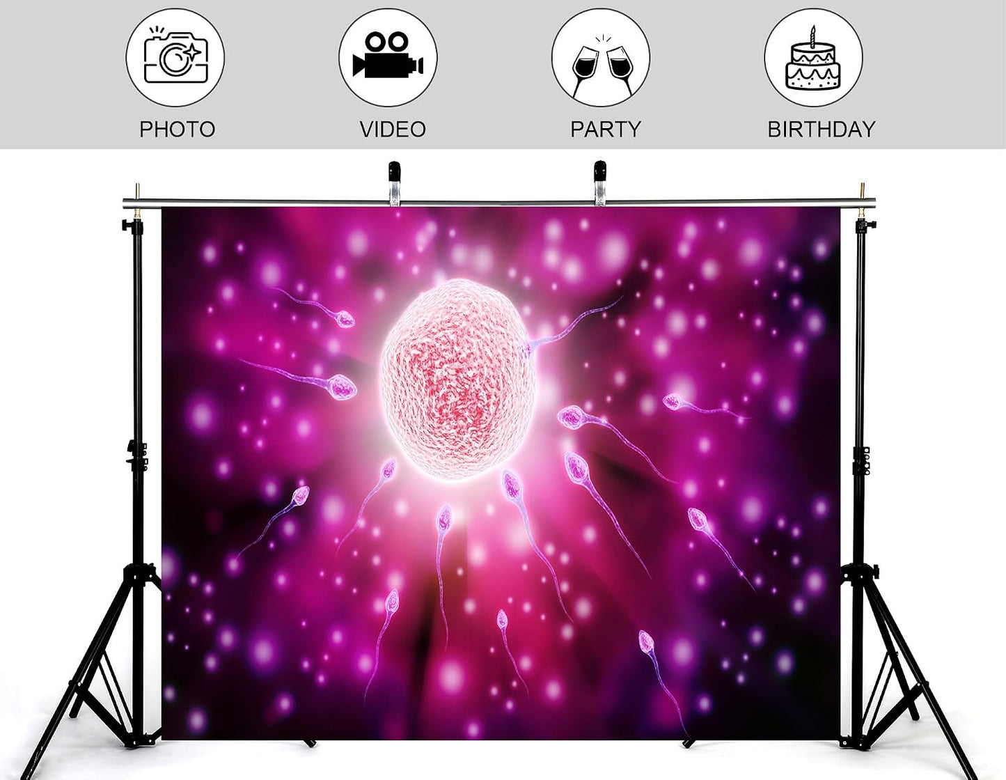KeyWork 5x4ft Fertilization Science Illustration Backdrop Reproductive Biology Photography Background for Health Fair