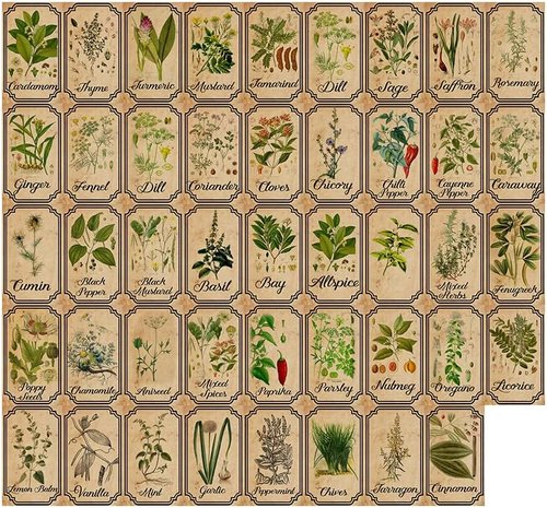 Herb and Spice Apothecary Labels - Vintage Stickers for Jars and Bottles | Perfect for Organizing