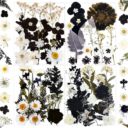 MIKIYA 84Pcs Black Dried Pressed Flowers for Resin Molds, Bulk Real Natural Dry Floral for DIY Art Crafts, Epoxy Jewelry, Candle, Soap Making, Nails Decor, Phone Case