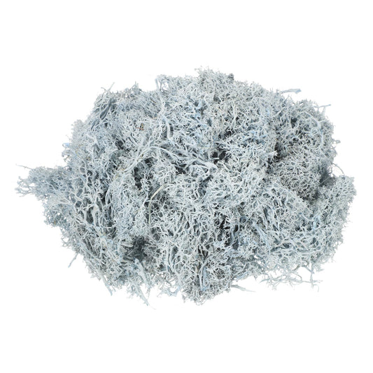 MECCANIXITY 4.6oz Preserved Reindeer Moss, Light Blue Decorative Artificial Fake Moss for Potted Plants Indoor Crafts Lichen Centerpieces Decor
