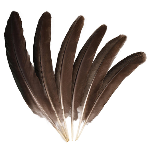 MehelloFeather Peacock Wing 11-14 Inch Natural Feather 6 Pcs Crafts for DIY Home Decoration Wedding Centerpieces Party Supplies