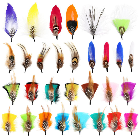 SendyFeather Hat Feathers 30 Styles Natural Assorted Feathers for Fedora Hats Accessories DIY Craft,Western Cowboy Hats,Christmas Party Hats,Oktoberfest Hats