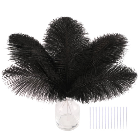 SOGUGOM Black Craft Ostrich Feathers - 30PCS 8-10 inch Ostrich Feathers Kit for Centerpieces, Kindergarten Crafts, Dream Catchers and DIY Projects(Black)