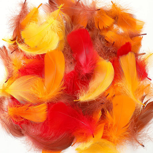 Lyrow 400 Pcs Thanksgiving Fall Feathers DIY Craft Color Feathers Dream Catcher Decoration Natural Fluffy Dress up Party Decoration, 2-4 Inches (Bright Color)