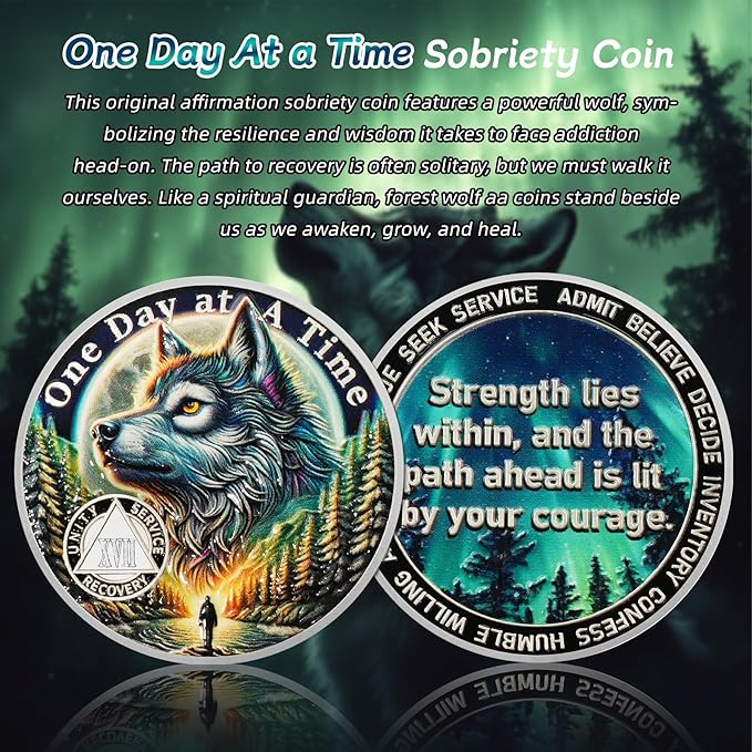 One Day at a Time 17 Year Sobriety Coin - Recovery Aurora Forest Wolf AA Coins - Addiction NA AA Chips and Medallions - Celebrate 1-30 Living Clean Narcotics Alcoholics Anonymous Gifts for Men Women